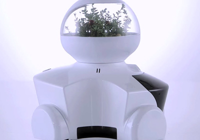 Robot Patin mini jardín